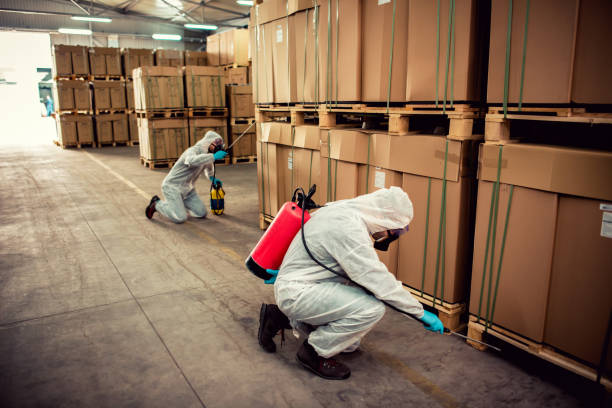 Best Residential Pest Control  in Georgetown, IL