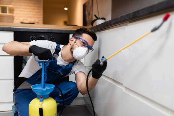 Best Wasp Removal Services  in Georgetown, IL