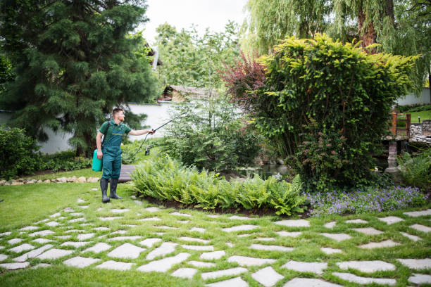 Best Affordable Exterminators  in Georgetown, IL