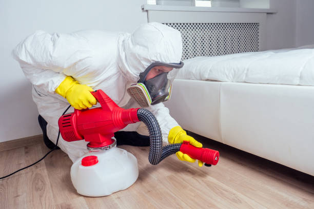  Georgetown, IL Pest Control Pros