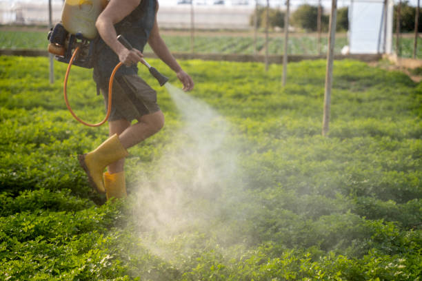 Best Best Pest Control Companies  in Georgetown, IL