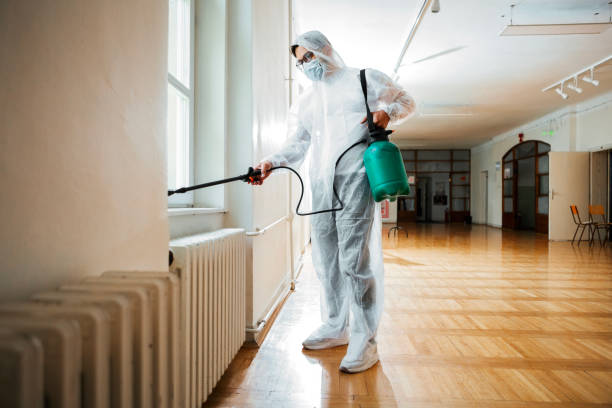 Best Rat Extermination Near Me  in Georgetown, IL