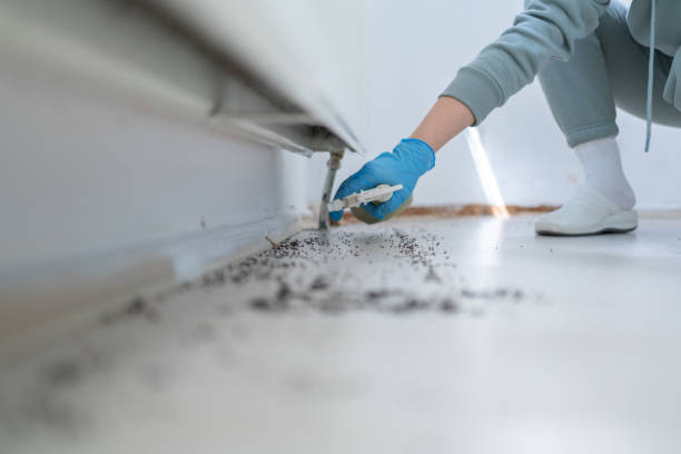 Best Commercial Pest Control Services  in Georgetown, IL